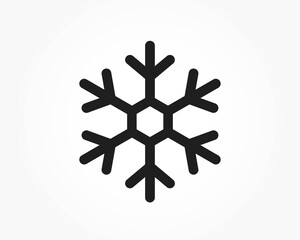 snowflake icon. snow and winter symbol. Christmas and New Year design element