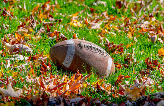 Brown Football  rests in a grassy field with fall leaves 