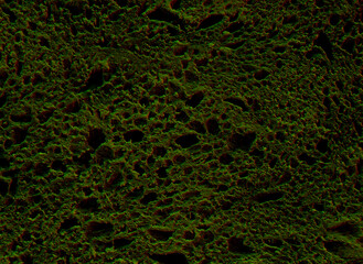 an abstract moss lichen texture background, plant