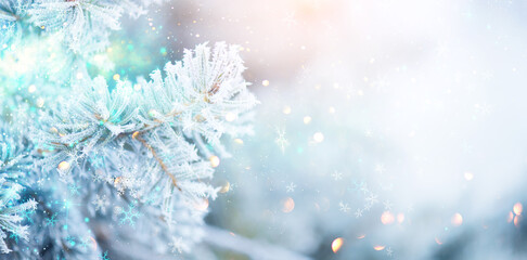 Christmas winter blurred background. Xmas tree with snow, holiday background. New year Winter art...