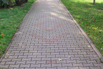 a neatly paved stone path leading through a green park