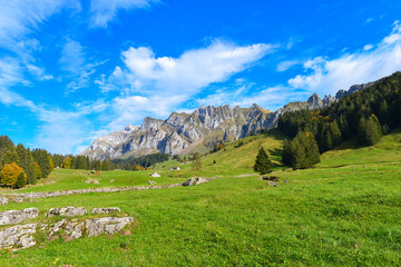 Fototapeta na wymiar Wandergebiet Lutertannen und Lütispitz im Kanton St. Gallen, Schweiz