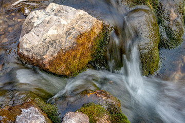Naklejka na ściany i meble Intimate little stream flowing over rocks with moss