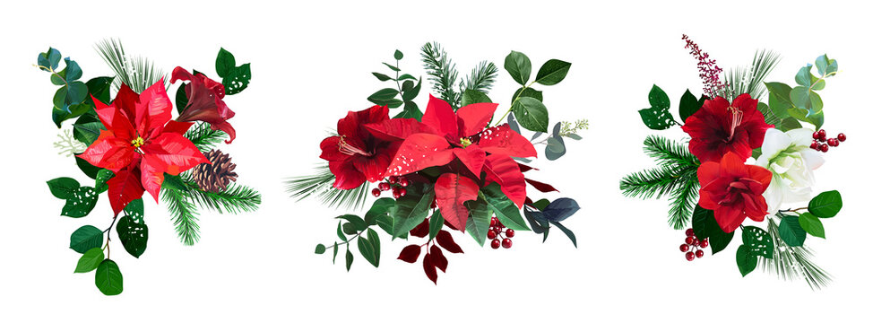 Merry Christmas floral vector bouquets set