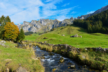 Fototapeta na wymiar Herbst im Wandergebiet Lutertannen im Kanton St. Gallen, Schweiz