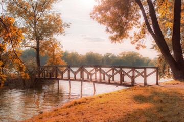 Wooden bridge in the autumn forest