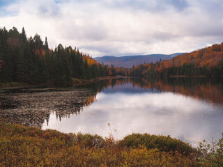 Fototapeta premium autumn