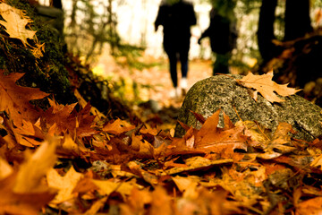 A Stone's Throw away
