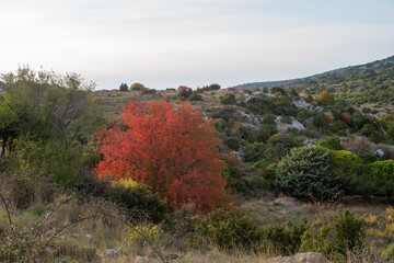 autumn in the mountains