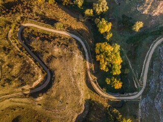 Aerial drone zenith view of a way with trees