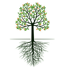 Shape of Tree with leaves and roots. Vector outline Illustration. Plant in Garden.