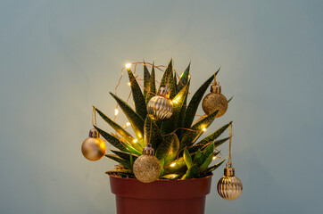 Christmas succulent with golden balls and garland on blue background, space for text