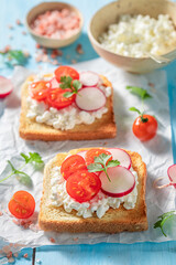 Obraz na płótnie Canvas Tasty Toast with cottage cheese, radish and cherry tomato