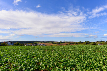 Albstadt (Alzenau) im unterfränkischen Landkreis Aschaffenburg