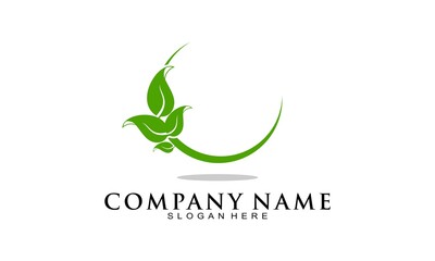 Obraz premium Leaf logo vector