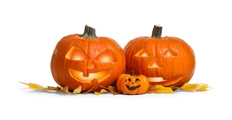 Cute Halloween pumpkins and autumn leaves on white background