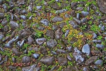 Obraz premium Typical paving stones in historical city of Ouro Preto, Brazil 