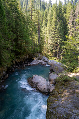 Fototapeta premium The North Fork Nooksack River in the Mt. Baker-Snoqualmie National Forest