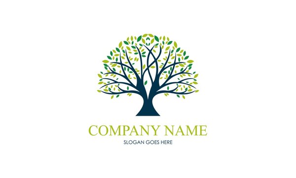 Tree life company logo template. Best Logo