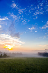 Thick mystical fog over a green forest. Juicy grass.