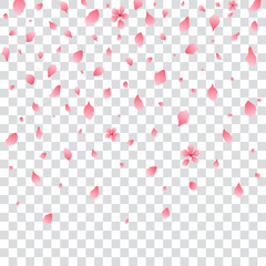 Sakura blossom falling petals, isolated, vector illustration.