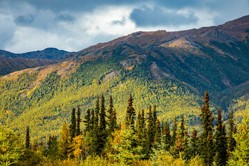 Golden fall scenic view of Denali national park at sunset