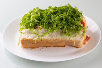 sandwich with lettuce