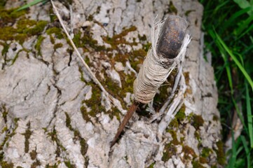 rusty metallic knife stuck on a tree, environmental issue