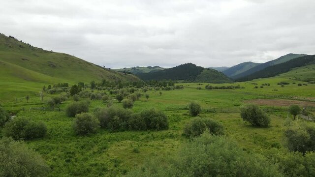Landscape East Kazakhstan Upper Katon Karagay. Drone flight on DJI Mavic Air2, video 4K. River, green lowland near the mountains.