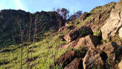 The Beauty of Mt. Ungaran, Semarang, Indonesia