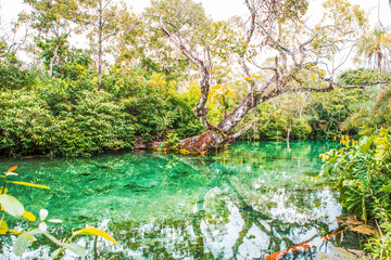 Nascente Azul no rio Sucuri em Bonito - MS