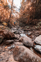 
Walking on the rocks