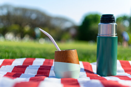 Mate picnic in the park