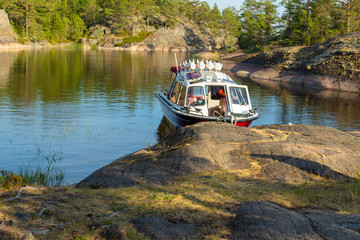 Naklejka premium beautiful landscape with green, natural trees, plants, natural pond, lake, river and boat