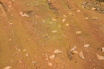 Parched sundried ground