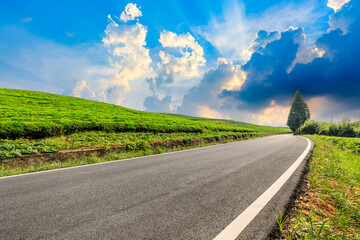 Countryside asphalt road and green tea plantations with mountain natural scenery in Hangzhou at sunrise.