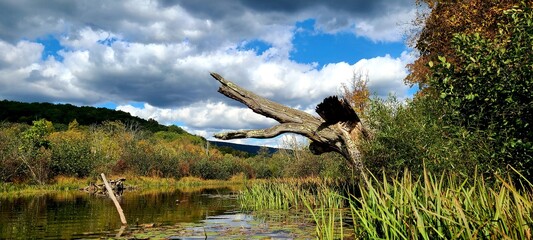 person sitting on a rock in the park