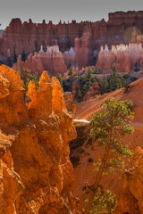 Hoodoos on The Queens Garden Trail, Bryce Canyon National Park, Utah, USA