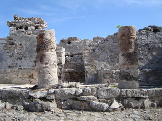 Camuflaje de lagartijas en las ruinas