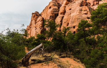The Red Sandstone Walls of Johnson Canyon, Snow Canyon State Park,  Utah, USA
