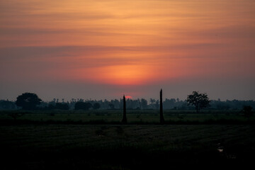 Sunset sky at a local Thai paddy field 
