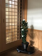 生け花
