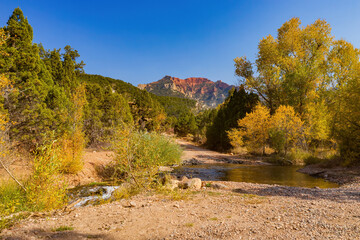 Sunny view of beautiful fall color around Brian Head area