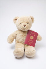 パスポートを持ったクマのぬいぐるみ