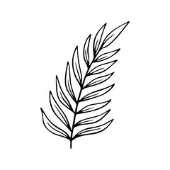 Fototapeta premium palm leaf stylized vector illustration.