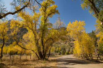 Fototapeta premium Sunny view of beautiful fall color around Parowan Canyon