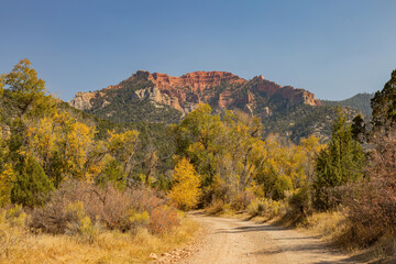 Sunny view of beautiful fall color around Parowan Canyon