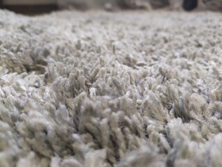 snow covered field