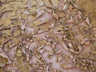 Split soil