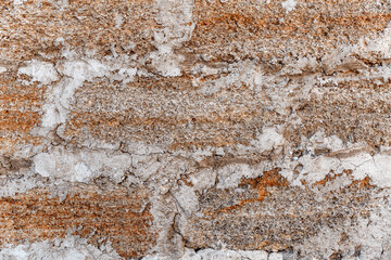 Rough texture of a brick wall made of shells, appearance.Textured